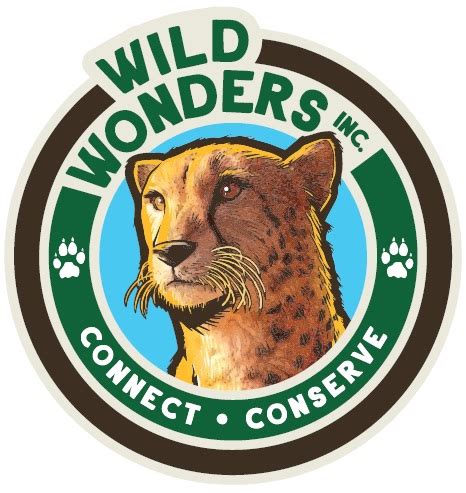 Wild wonders - Wild Wonders - Animal Show, Middleburg, FL. 958 likes · 23 talking about this. Owner Michael Rossi, created Wild Wonders in 2002 with the purpose of entertaining while teaching about animals, this is...